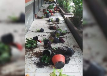 Gawat, Dua Sekolah Dasar di Rantauprapat Dirusak OTK