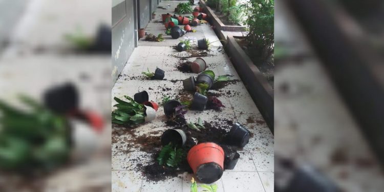 Gawat, Dua Sekolah Dasar di Rantauprapat Dirusak OTK Gawat, Dua Sekolah Dasar di Rantauprapat Dirusak OTK