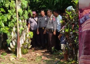 Andus Rumahorbo Tewas Kesetrum saat Panen Sawit di Tanah Jawa