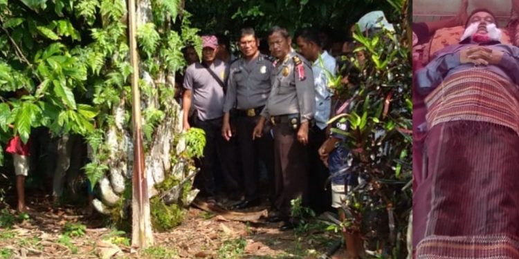 Andus Rumahorbo Tewas Kesetrum saat Panen Sawit di Tanah Jawa Andus Rumahorbo Tewas Kesetrum saat Panen Sawit di Tanah Jawa