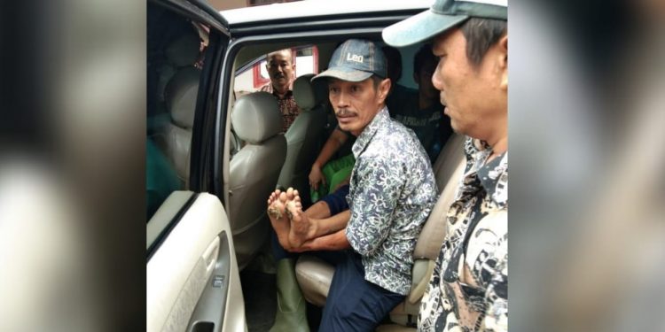 Karyawan PTPN III Kebun Bangun Kesetrum Arus Listrik Tegangan Tinggi