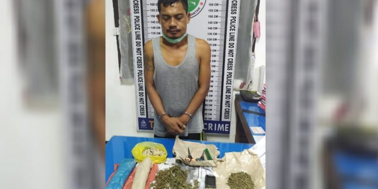 Dikibusi, Sibolmat Ditangkap dengan Ganja Jualannya dari Siantar Martoba Dikibusi, Sibolmat Ditangkap dengan Ganja Jualannya dari Siantar Martoba