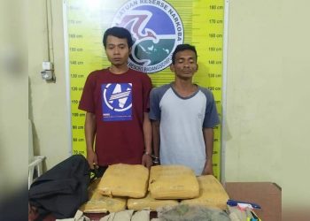 Komitmen AKBP Juliani Prihartini Berantas Narkoba, Dua Pria Pemilik 5 Bal Ganja Ditangkap di Sidimpuan