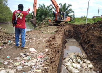Cegah Virus Hog Cholera, Kodim 0201/BS Kubur Ratusan Bangkai Babi di Kawasan Danau Siombak
