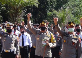 Kapolres Tapteng Tanam Jagung di Belakang Kantor, Dukung Program Hanpang