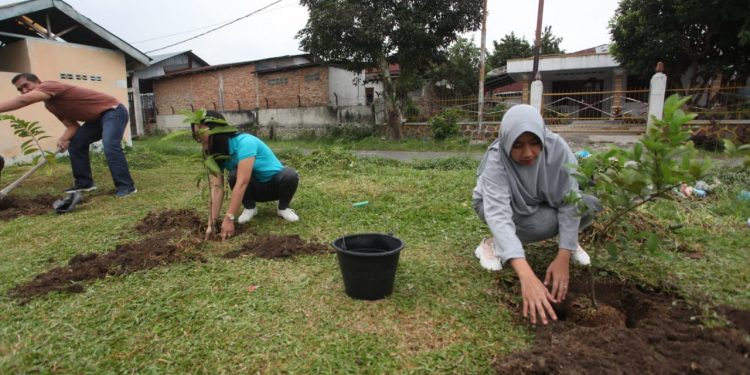 Syahputri Hutabarat Gotong-royong dan Tanam Pohon di Lapangan Farel Pasaribu Syahputri Hutabarat Gotong-royong dan Tanam Pohon di Lapangan Farel Pasaribu