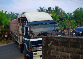 NGO-Topan AD Sesalkan Tangkap Lepas Dua Truck Trailer Penangkut Puluhan Ton Kayu oleh Polres Labuhanbatu