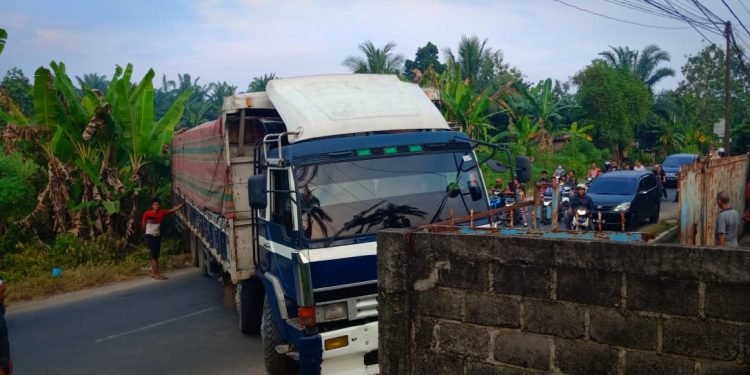 NGO-Topan AD Sesalkan Tangkap Lepas Dua Truck Trailer Penangkut Puluhan Ton Kayu oleh Polres Labuhanbatu NGO-Topan AD Sesalkan Tangkap Lepas Dua Truck Trailer Penangkut Puluhan Ton Kayu oleh Polres Labuhanbatu