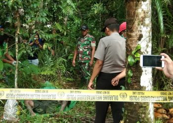 Tragis, Hidup Sebatangkara, SD Hia Ditemukan Tewas di Ladang Kelapa