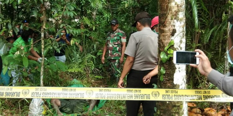 Tragis, Hidup Sebatangkara, SD Hia Ditemukan Tewas di Ladang Kelapa Tragis, Hidup Sebatangkara, SD Hia Ditemukan Tewas di Ladang Kelapa