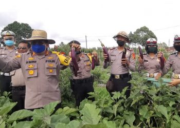 Polres Dairi Galakkan Program Ketahanan Pangan di Tengah Pandemi Covid-19