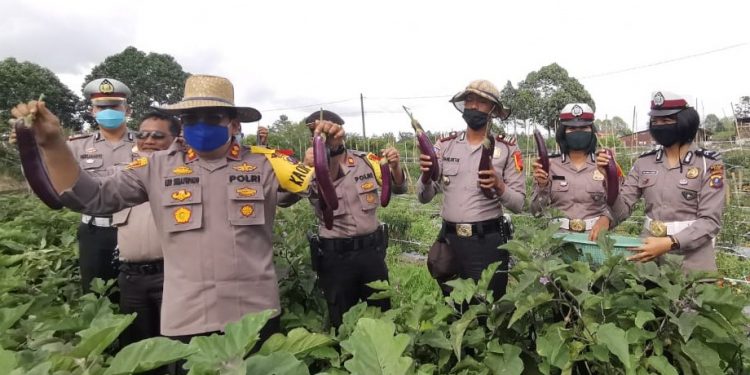 Polres Dairi Galakkan Program Ketahanan Pangan di Tengah Pandemi Covid-19