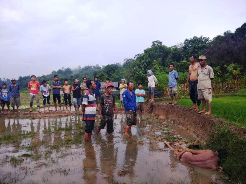 Herbin Tambunan Ditemukan Tewas Disambar Petir di Sawahnya