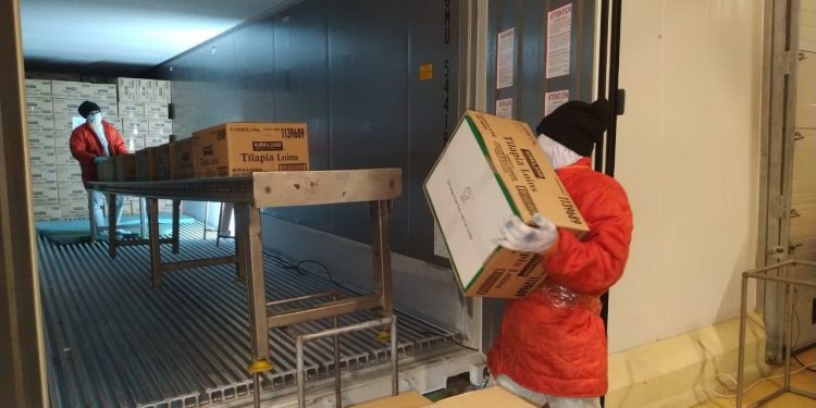 PT Japfa Ekspor IkanTilapia Senilai Rp 13 Miliar dari Indonesia