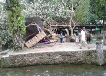 Brakkk! Pohon Waru Timpa Warung Lesehan di Timuran