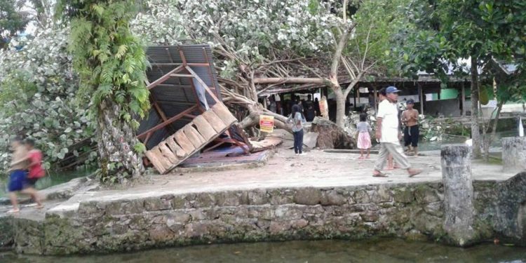 Brakkk! Pohon Waru Timpa Warung Lesehan di Timuran