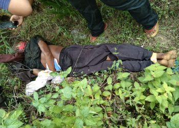  Menggemparkan, Pria Paruh Baya Ditemukan Tewas  Di Jalinsum Torgamba  dengan Tangan dan Kaki Terikat