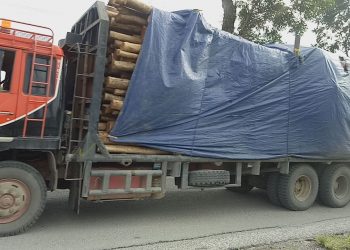 Diduga Langgar Aturan, Ketua OKK MPC PP Simalungun Ancam Stop Truk PT. TPL