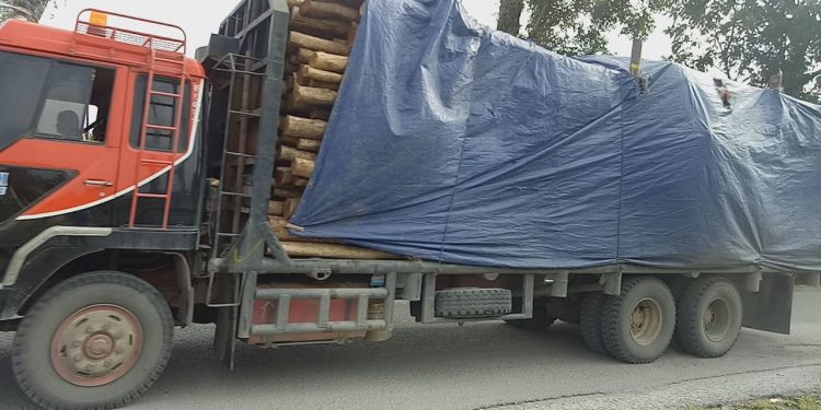 Diduga Langgar Aturan, Ketua OKK MPC PP Simalungun Ancam Stop Truk PT. TPL