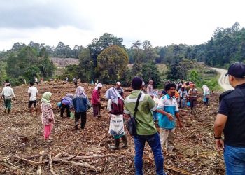 Ini Penjelasan Humas Toba Pulp Lestari Terkait Aksi Bentrok Pekerja VS Masyarakat Adat