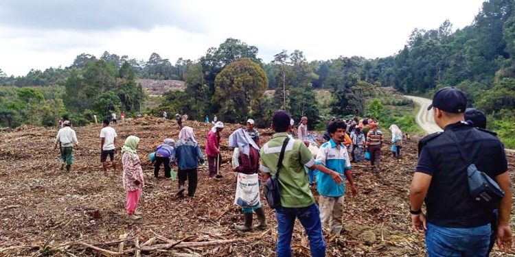 Ini Penjelasan Humas Toba Pulp Lestari Terkait Aksi Bentrok Pekerja VS Masyarakat Adat Ini Penjelasan Humas Toba Pulp Lestari Terkait Aksi Bentrok Pekerja VS Masyarakat Adat