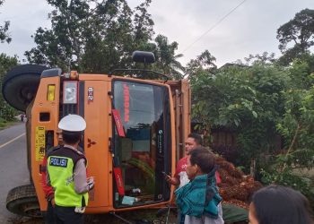 Truk Sawit Tompul Panggabean Terbalik di Halaman Rumah Warga di Tapsel