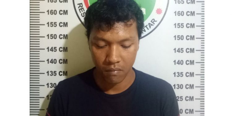 Ada "Kibus", Tyson Ditangkap di Jalan Sinabung, BB 5 Paket Sabu Ada "Kibus", Tyson Ditangkap di Jalan Sinabung, BB 5 Paket Sabu