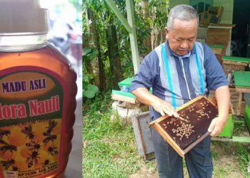 Madu Flora Nauli dari Siantar Tembus Pasar Luar Negeri
