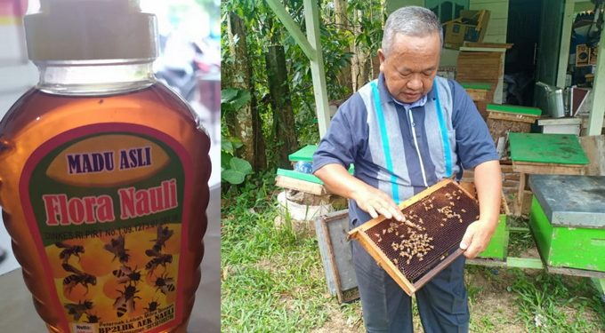 Madu Flora Nauli dari Siantar Tembus Pasar Luar Negeri Madu Flora Nauli dari Siantar Tembus Pasar Luar Negeri