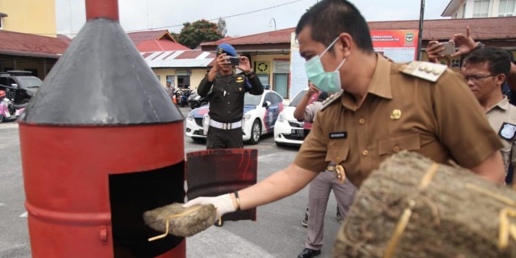 Walikota Musnahkan Barang Bukti Ganja di Polres Siantar Walikota Musnahkan Barang Bukti Ganja di Polres Siantar