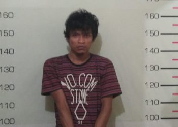 Perkara Narkoba, Warisan Diamankan dan Jul Diburu Polres Simalungun