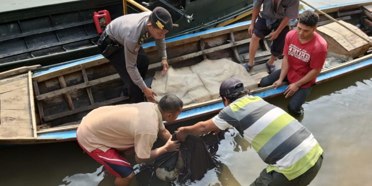 Empat Hari Dicari, Clara Boru Nainggolan Bocah 4 Tahun Ditemukan Tewas di Sungai