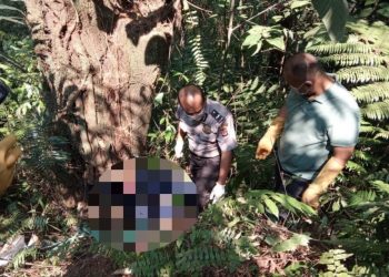 Ditemukan Mayat Pria Dalam Koper, Diduga Korban Pembunuhan