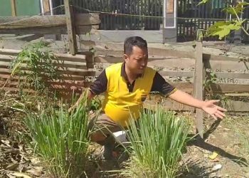 Bripka Yogi Yanto Manfaatkan Lahan Kosong Bertani dan Beternak di Tengah Pandemi Covid-19