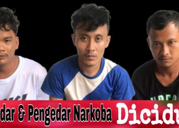 Bandar dan Pengedar Narkoba Diciduk Sat Narkoba di Perdagangan