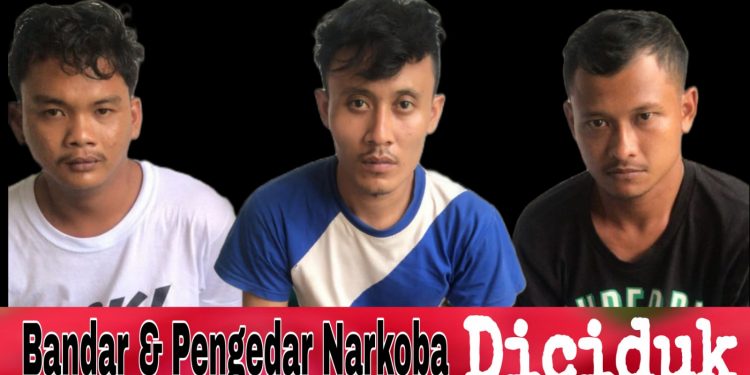 Bandar dan Pengedar Narkoba Diciduk Sat Narkoba di Perdagangan