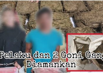 Rumah Bandar Narkoba Digerebek, Ditemukan Dua Goni Ganja
