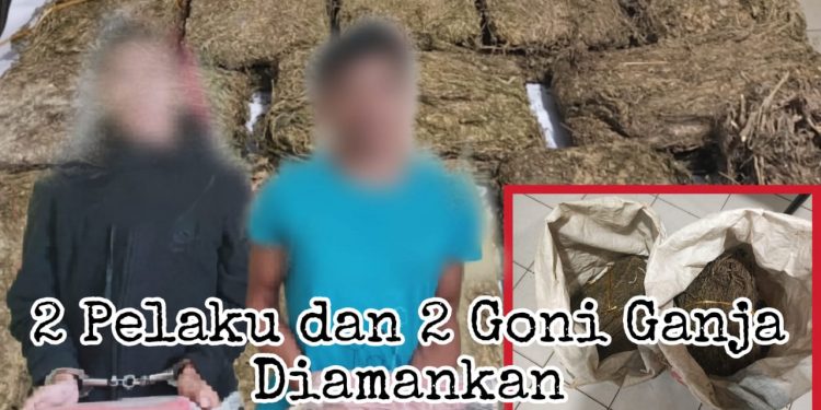 Rumah Bandar Narkoba Digerebek, Ditemukan Dua Goni Ganja