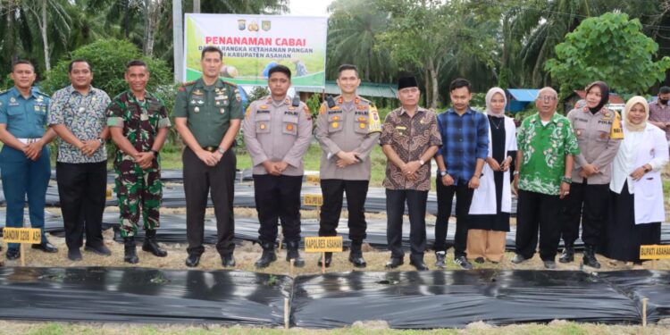 Kapolres Asahan Bersama Forkopimda Penanaman Bibit Cabai di Polsek Kota Kisaran