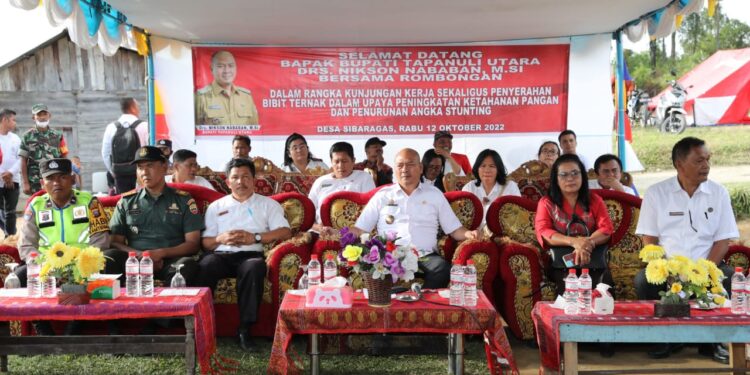 Cegah Angka Stunting Bupati Taput Memberikan Bantuan Bibit Ternak Cegah Angka Stunting Bupati Taput Memberikan Bantuan Bibit Ternak