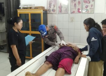 Mobil Penumpang Masuk Jurang di Simalungun, Bettes Br Manurung Tewas