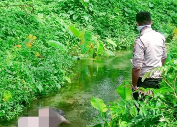 Ramlan Butar-butar Ditemukan Tewas di Parit Kebun Kelapa Sawit PT Sipef