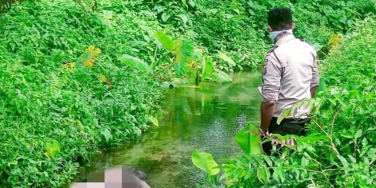 Ramlan Butar-butar Ditemukan Tewas di Parit Kebun Kelapa Sawit PT Sipef