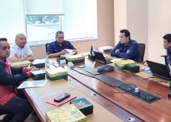 Percepat Desa di Taput Teraliri Listrik, Bupati Nikson Nababan Temui Langsung Dirut PT. PLN