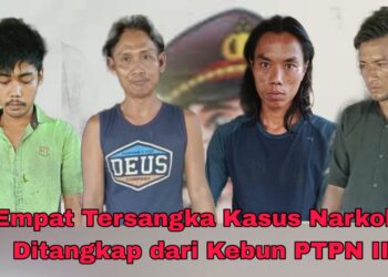 Empat Tersangka Narkoba Ditangkap di Kebun Karet PTPN III Dusun Ulu