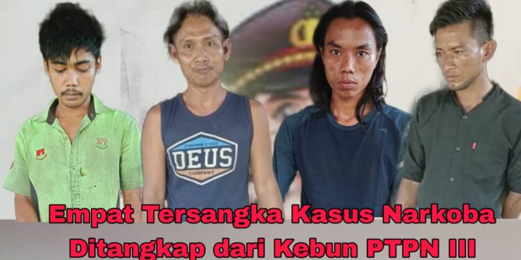 Empat Tersangka Narkoba Ditangkap di Kebun Karet PTPN III Dusun Ulu
