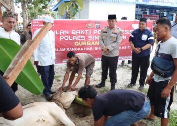 Gelar Qurban Presisi Polres Simalungun Sembelih 14 Hewan