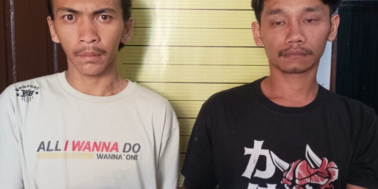 Dua tersangka pengguna narkotika jenis sabu berhasil di ciduk sat narkoba polres Taput minggu, 18 Juni 2023. Kedua tersangka yakni Andri Siahaan ( 28 ) warga Simpang Tolu Desa Tangga Batu Timur Kecamatan Tampahan Kabupaten Toba dan Adi Pranata Bababan ( 20 ) warga Sagak Dao Desa Sitabotabo Toruan Kecamatan Siborongborong Taput.