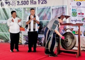 Menko Perekonomian Launching Closed Loop Kawasan Pertanian Terpadu Simalungun