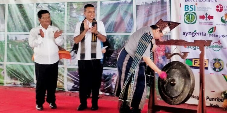 Menko Perekonomian Launching Closed Loop Kawasan Pertanian Terpadu Simalungun